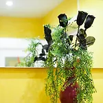 아파트 Relax Center Olimian *