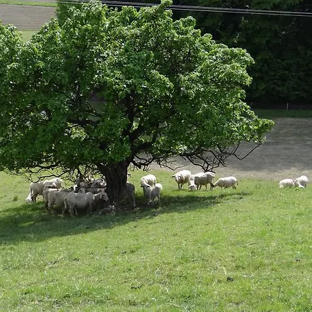 Relax Center Olimian Podčetrtek