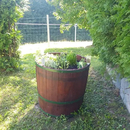Relax Center Olimian Podčetrtek