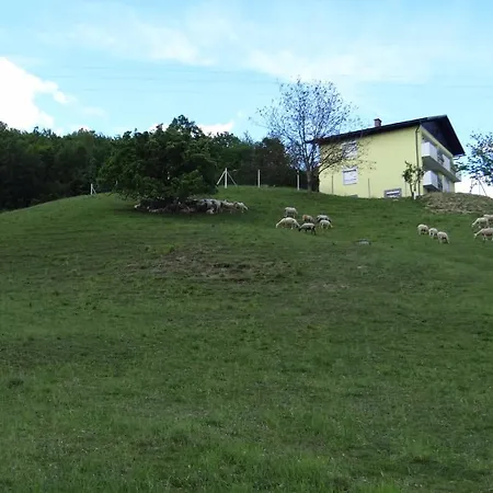 Apartamento Relax Center Olimian