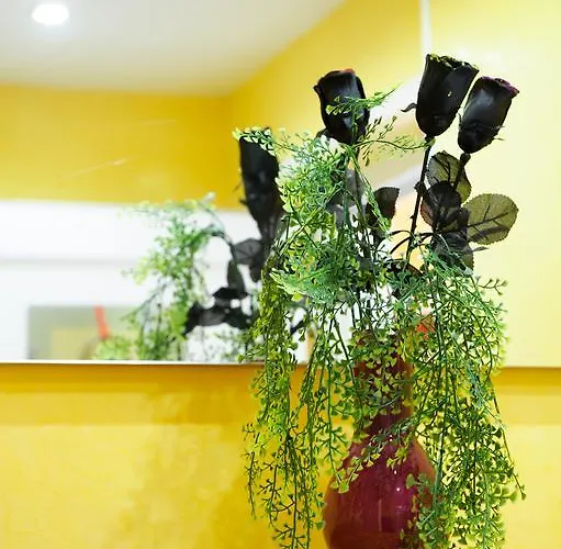 Appartement Relax Center Olimian *