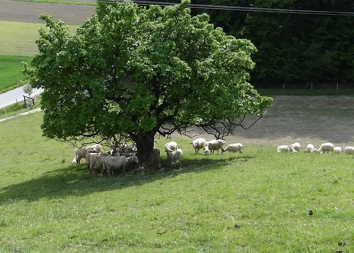 Relax Center Olimian ポドチェトルテク