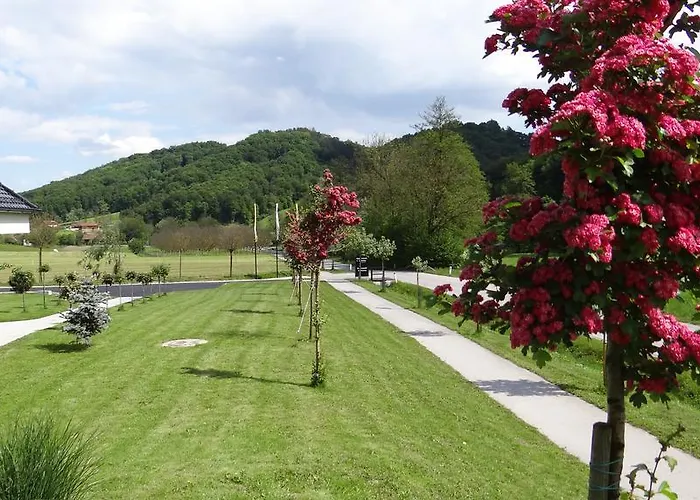 Appartement Relax Center Olimian *