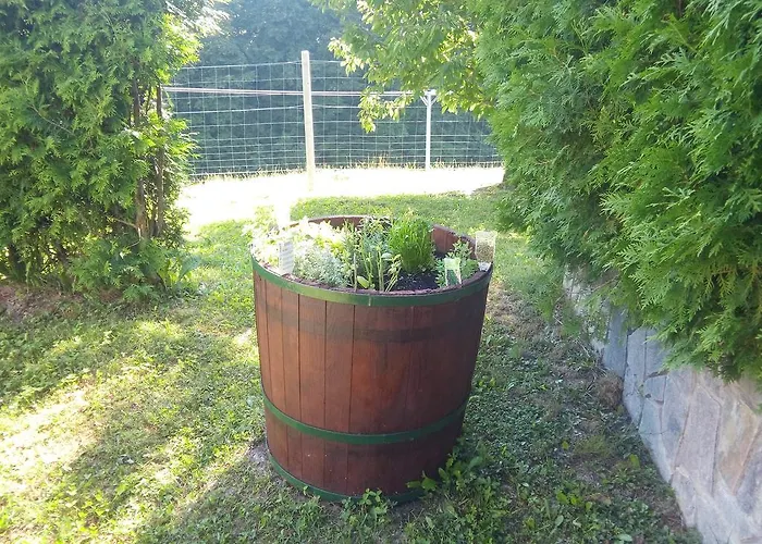 Relax Center Olimian Podčetrtek